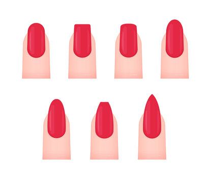 Various nail shapes vector illustration set