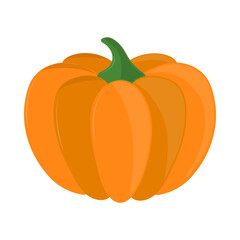 pumpkin vegetable icon