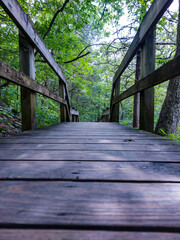wooden bridge in the woods