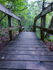 wooden bridge in the forest