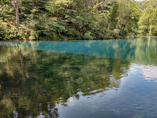reflection of trees in the water