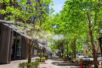 真夏のオフィス街の並木路と街路樹に設置されたドライミスト / 丸の内仲通りの風景（2021年7月）