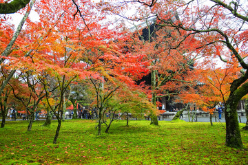 Kyoto ,Japan - November 18, 2017 :Tourist visit Nanzenji temple the beautiful autumn season in Kyoto., Colorful autumn season in Nanzenji temple in Kyoto, Japan.