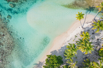 Strandreizen vakantie top-down drone foto van tropisch paradijs strand in perfect turquoise water in koraalrif lagune oceaan door strand. Palmbomen op atol