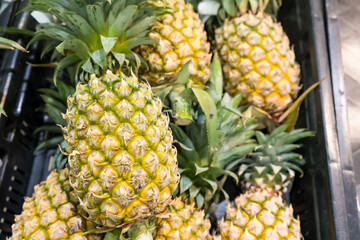 Pineapple in supermarket thailand.