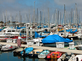 boats in marina
