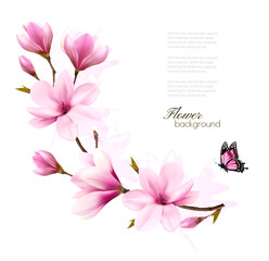 Nature Background With Blossom Branch Pink Magnolia Butterfly Vector