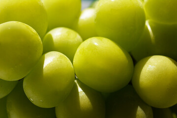 大切に育てられた大きな甘い葡萄。シャインマスカット。マスカット。果物イメージ素材