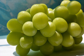 大切に育てられた大きな甘い葡萄。シャインマスカット。マスカット。果物イメージ素材