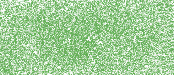 Green grass lawn background texture