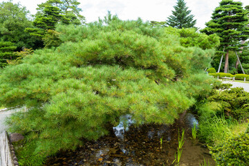 石川県金沢市にある兼六園周辺の風景 Scenery around Kenrokuen Garden in Kanazawa City, Ishikawa Prefecture, Japan.