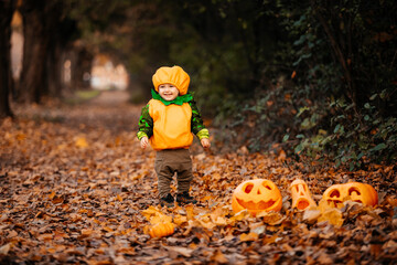 Child in pumpkin costume exploring park at Helloween