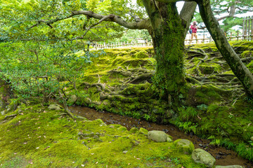 石川県金沢市にある兼六園周辺の風景 Scenery around Kenrokuen Garden in Kanazawa City, Ishikawa Prefecture, Japan.