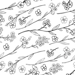 Seamless pattern Forget-me-not flowers vector illustration isolated on white background, ink sketch, decorative herbal doodle backdrop, line art for design medicine, wedding invite, floral cosmetic