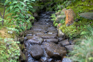 石川県金沢市にある兼六園周辺の風景 Scenery around Kenrokuen Garden in Kanazawa City, Ishikawa Prefecture, Japan.