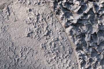 stone wall texture