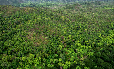 Top view Morning Mist and View Point with Layers of Mountains