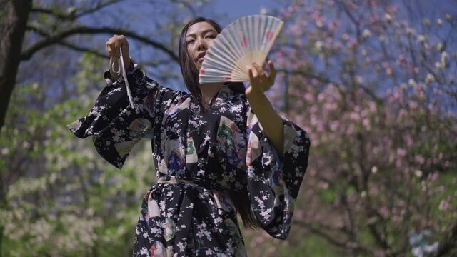 Young slim Japanese woman dancing in slow motion with fans in hands. Medium shot of beautiful Asian dancer in kimono enjoying sunny spring day in blooming park outdoors