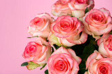 Bouquet of pink roses on pink background.