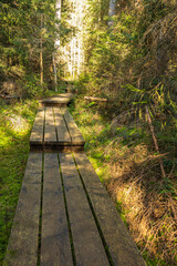 Holzsteg im Bayerischen Wald Hochformat