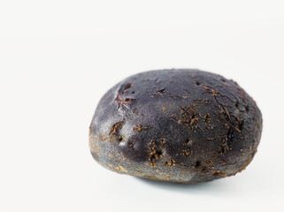 Single Dark Purple Shetland Black Potato Isolated on White Background