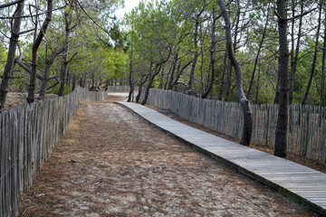 Beach access wooden pathway at atlantic sea over sand dunes with ocean in gironde France southwest