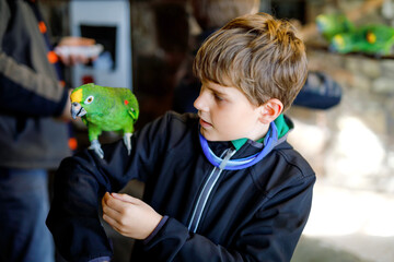 Gorgeous school kid boy feeding parrots in zoological garden. Child playing and feed trusting...