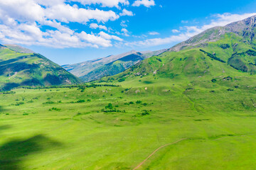 Fototapeta na wymiar Mountain and forest with grassland natural scenery in Hemu Village,Xinjiang,China.
