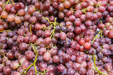 Red grapes in a supermarket in Thailand