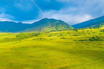 Mountain and forest with grassland natural scenery in Hemu Village,Xinjiang,China.