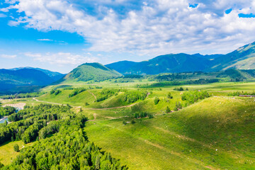 Mountain and forest with grassland natural scenery in Hemu Village,Xinjiang,China.