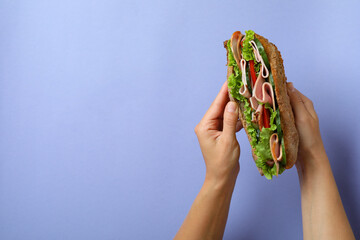 Female hands hold ciabatta sandwich on violet background