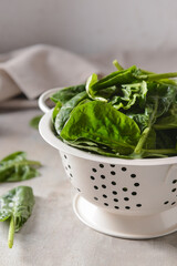 Colander with fresh spinach leaves on light , closeup