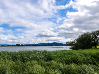 夏の小さな湖の風景