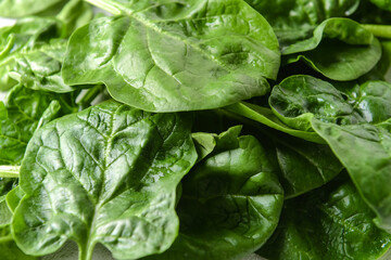 Fresh spinach leaves as background