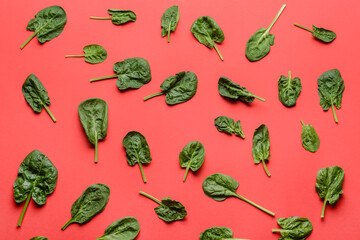 Fresh spinach leaves on color background