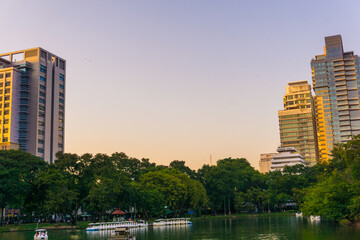 City building with tree park in Lumpini park