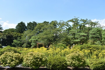 日本　群馬の名所　真田の城　沼田城と周辺の風景