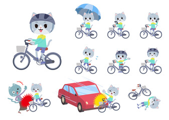 シティサイクルに乗ったネコの男の子のセット