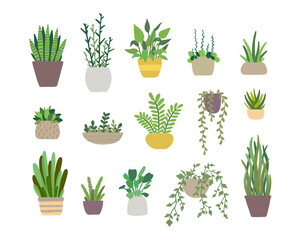 Set of vector house indoor plants, potted plants collection on white background. Flat colorful vector illustration.