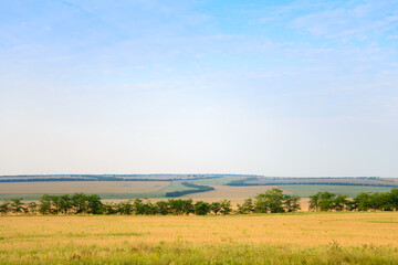 Obraz premium Panorama with wide green and yellow fields, blue sky and forests