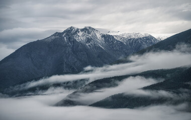 Fototapeta na wymiar Mountain range above the clouds. Green mountains in dense fog. Gloomy dark landscape. Bird's-eye view