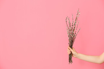 Female hand with willow branches on color background