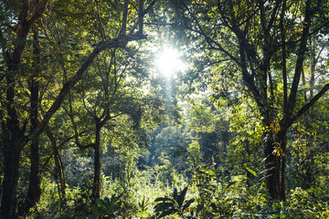 The road to the farm and fields