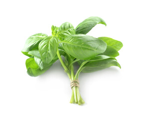 Bunch of fresh basil on white background