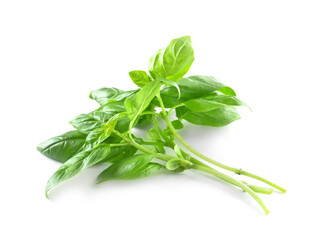 Bunch of fresh basil on white background