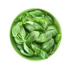 Bowl with fresh basil leaves on white background