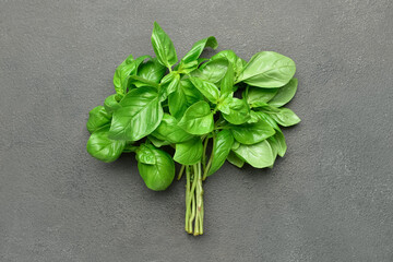 Bunch of fresh basil leaves on grey background
