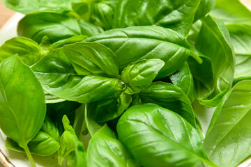 Plate with fresh basil leaves, closeup