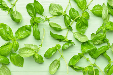 Fresh basil leaves on color wooden background